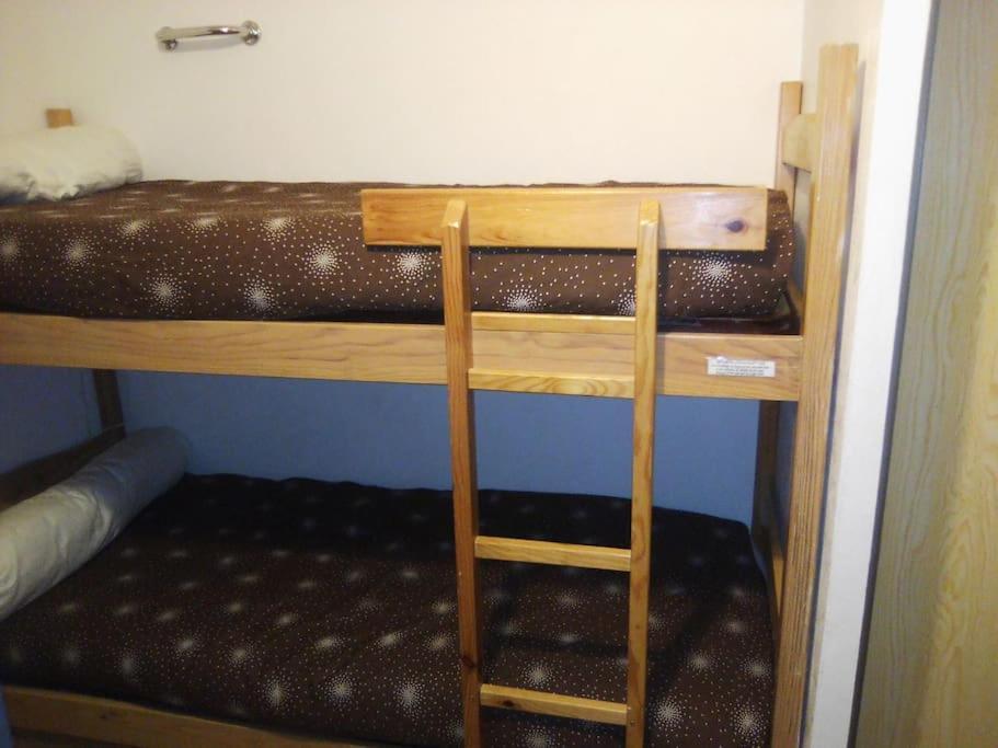 Appartement Pieds Des Pistes Au Pla D'Adet A Saint Lary Soulan エクステリア 写真